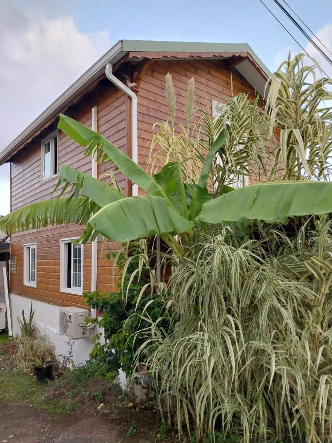 Le Cosy Bungalow De Lili / 5Min De L'Aeroport Лез-Абим Экстерьер фото